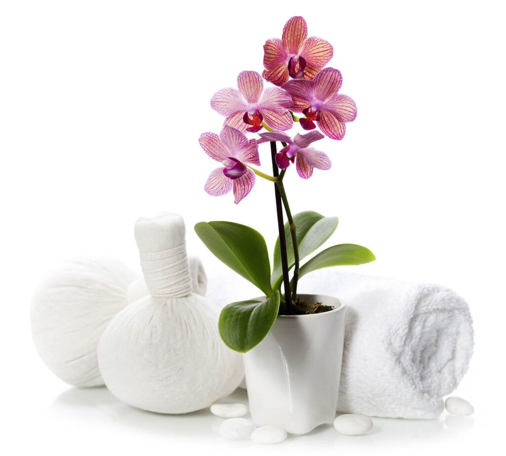 Spa orchid, towels and wellness stones